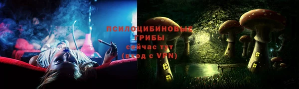 индика Киреевск