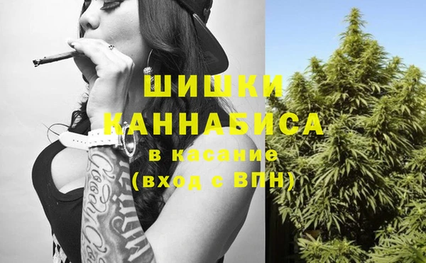 индика Киреевск