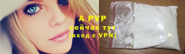 индика Киреевск